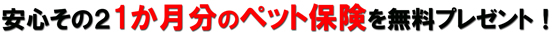 安心その２初期健康保険加入済み！（アニコム損保正規代理店）