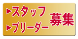 スタッフ募集