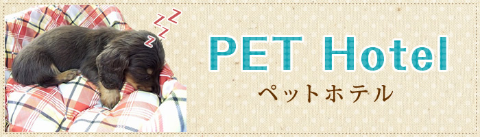 ペットホテルヘッダー画像