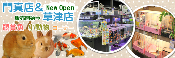 門真店 観賞魚・小動物コーナー