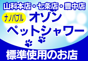 オゾンシャワー