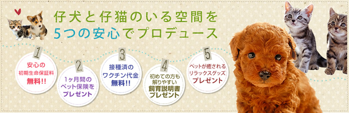 ノアズアークの特徴 メイン画像