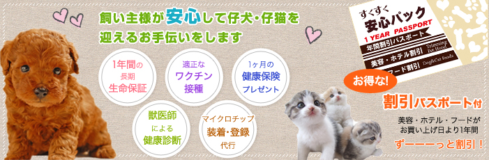 ノアズアークの特徴 メイン画像