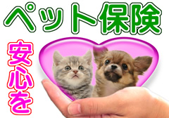 1ヶ月分ペット保険無料!