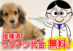 接種済みワクチン代金を無料で!