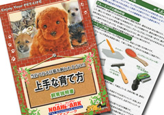 飼育説明書と詳しい説明付き