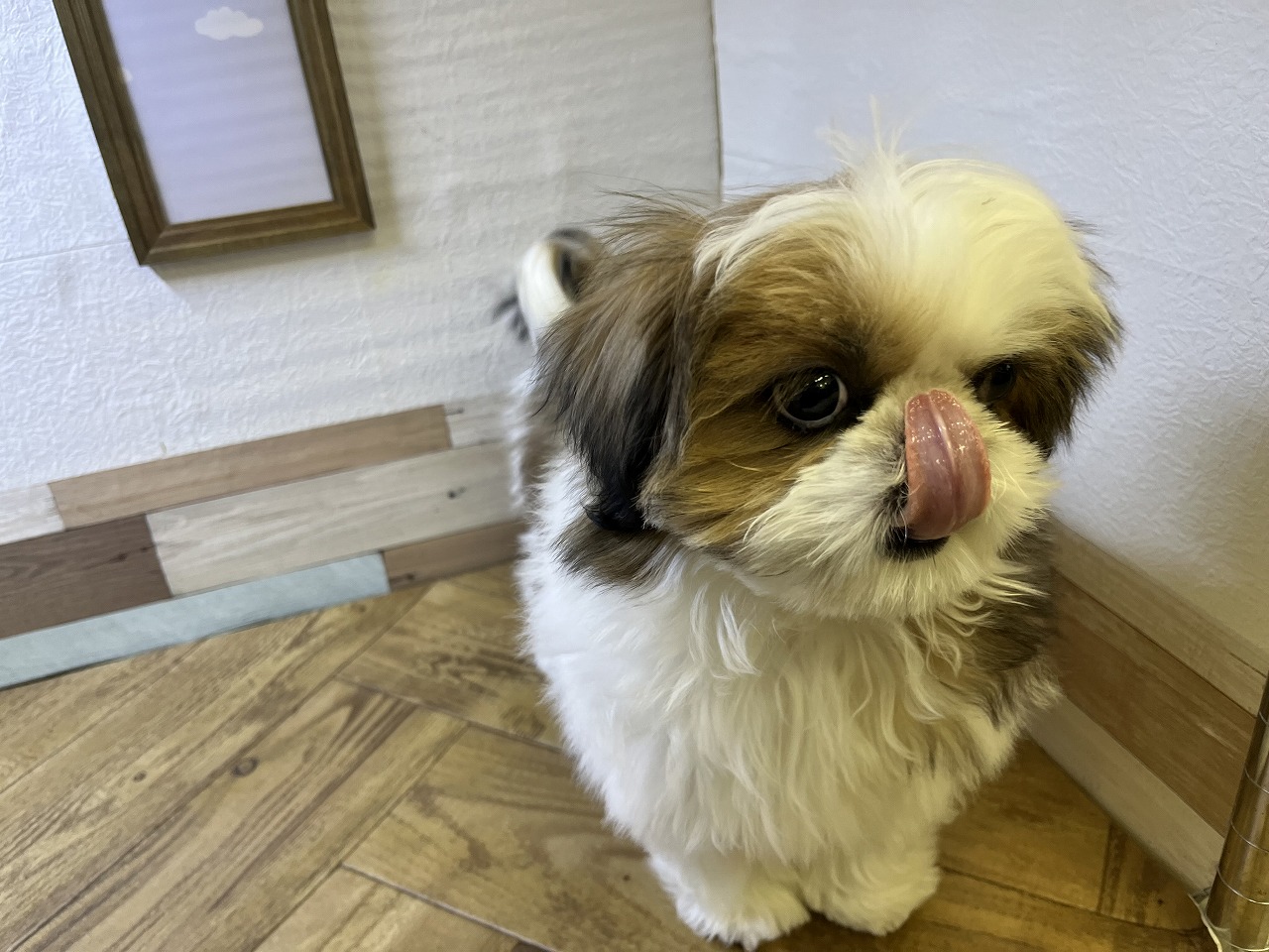画像