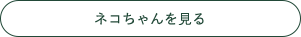 ネコちゃんを見る