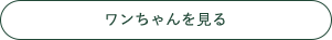 ワンちゃんを見る