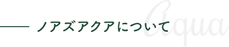 ノアズアクアについて