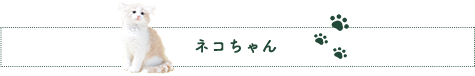 ネコちゃん