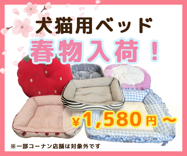 春もの