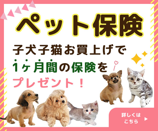 ペット保険