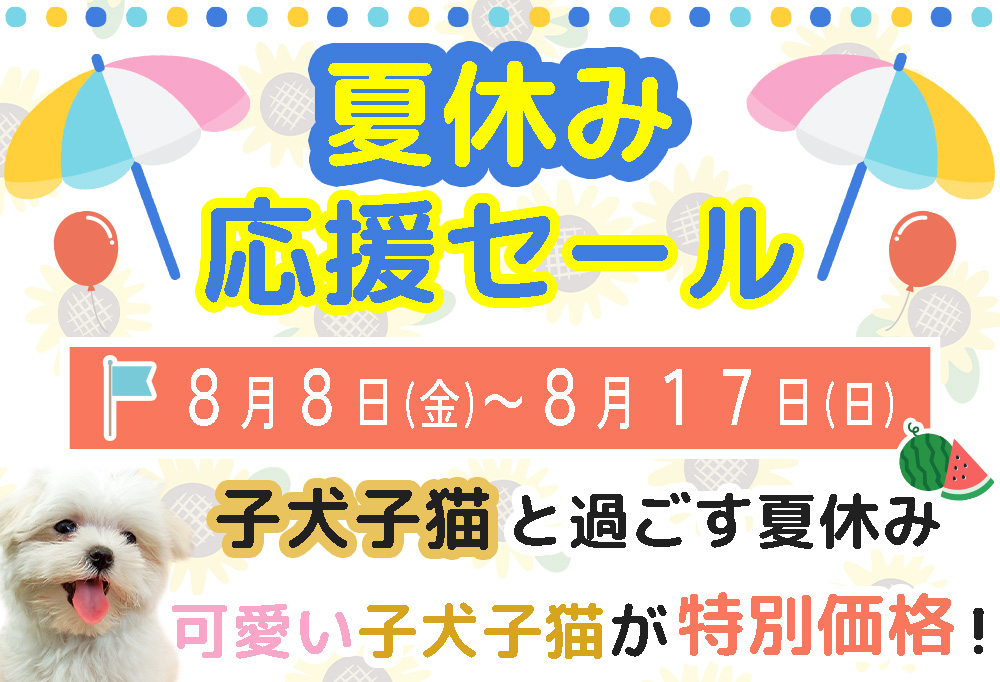 2025年8月セール