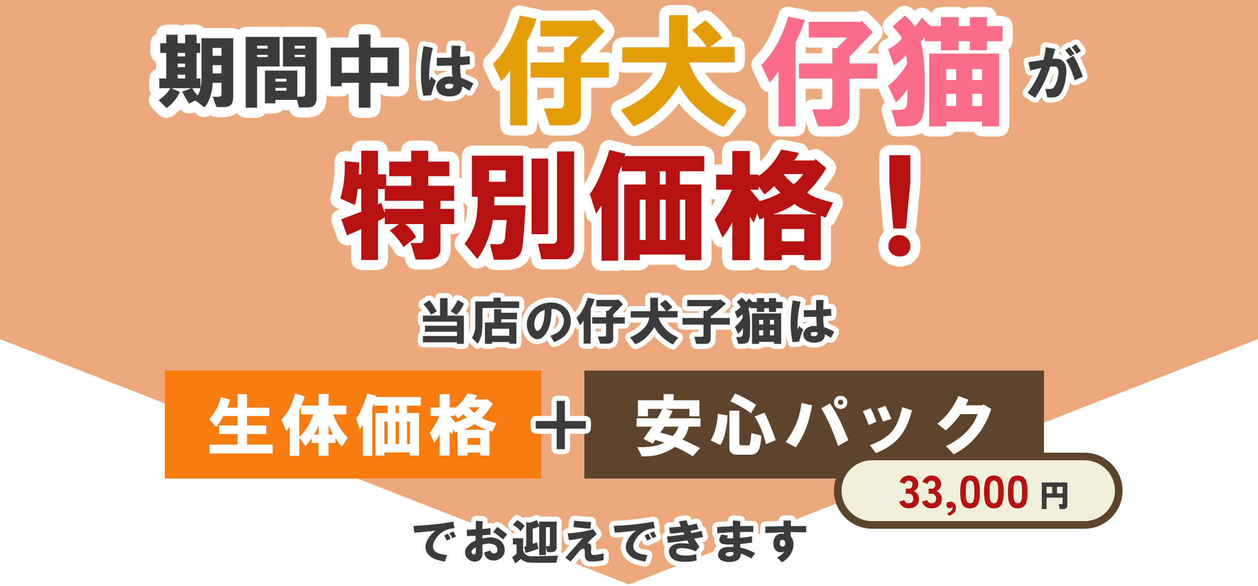 犬猫特別価格